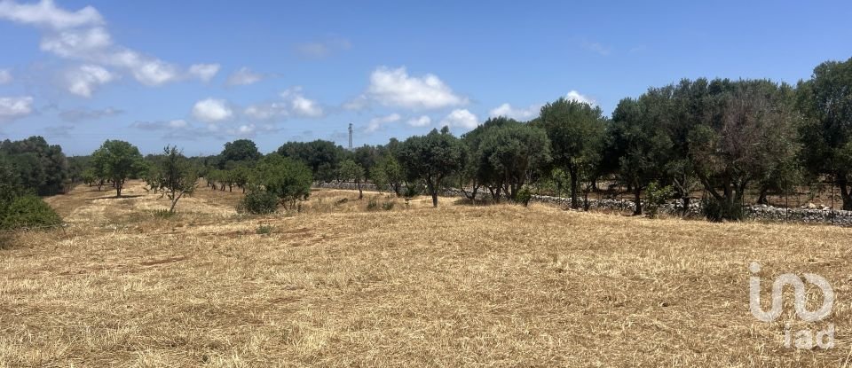 Equestrian facility 4 rooms of 80 m² in Ostuni (72017)