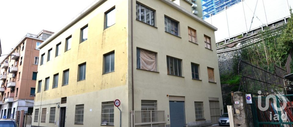 Pareti commerciali di 450 m² in Genova (16122)