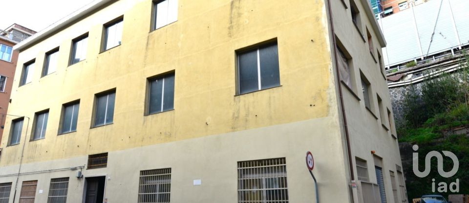 Pareti commerciali di 450 m² in Genova (16122)