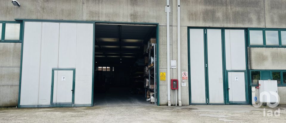 Warehouse of 946 m² in Musile di Piave (30024)