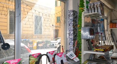 Shop / premises commercial of 400 m² in Genova (16151)