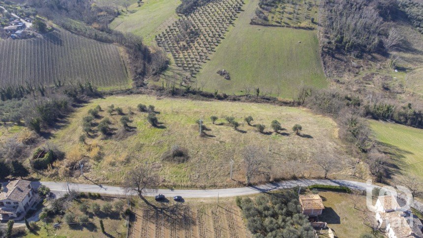 Land of 28,173 m² in San Paolo di Jesi (60038)