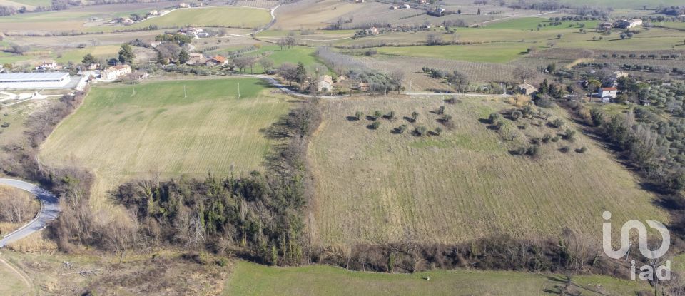 Land of 28,173 m² in San Paolo di Jesi (60038)