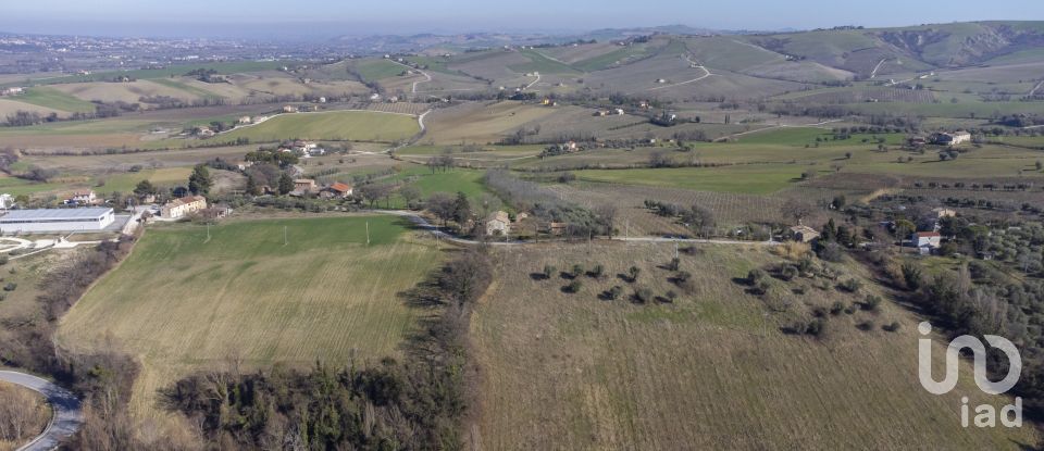 Land of 28,173 m² in San Paolo di Jesi (60038)