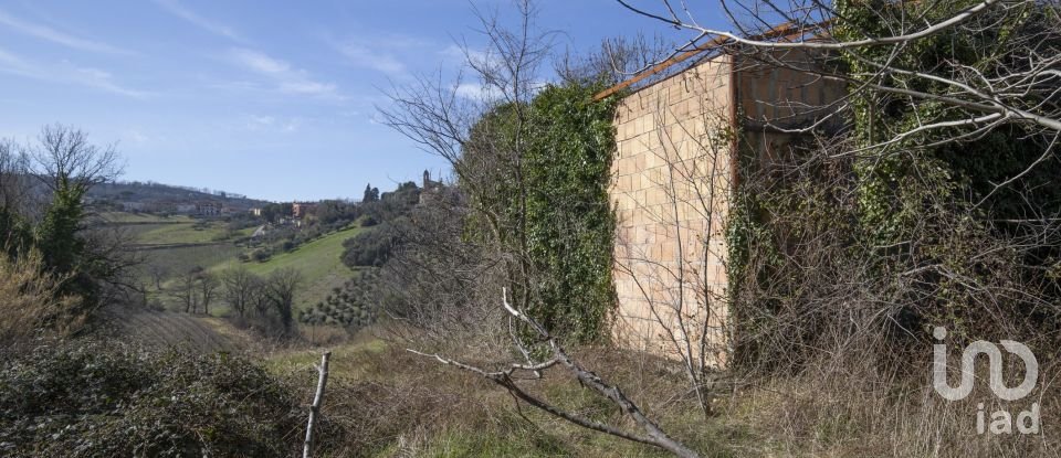 Land of 28,173 m² in San Paolo di Jesi (60038)