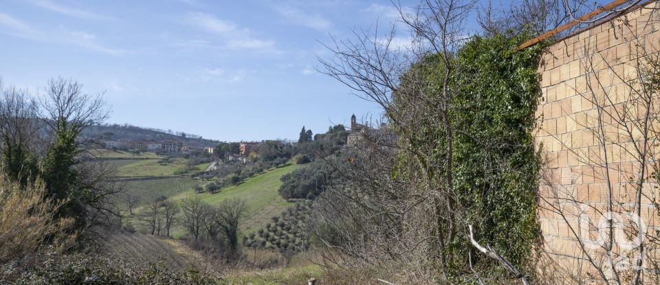 Land of 28,173 m² in San Paolo di Jesi (60038)