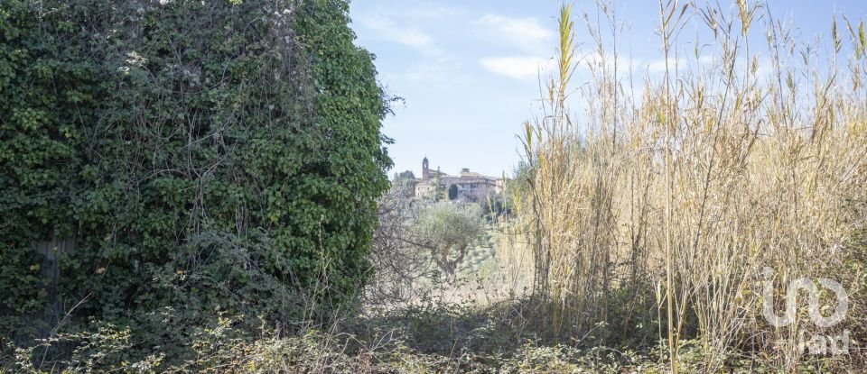 Land of 28,173 m² in San Paolo di Jesi (60038)