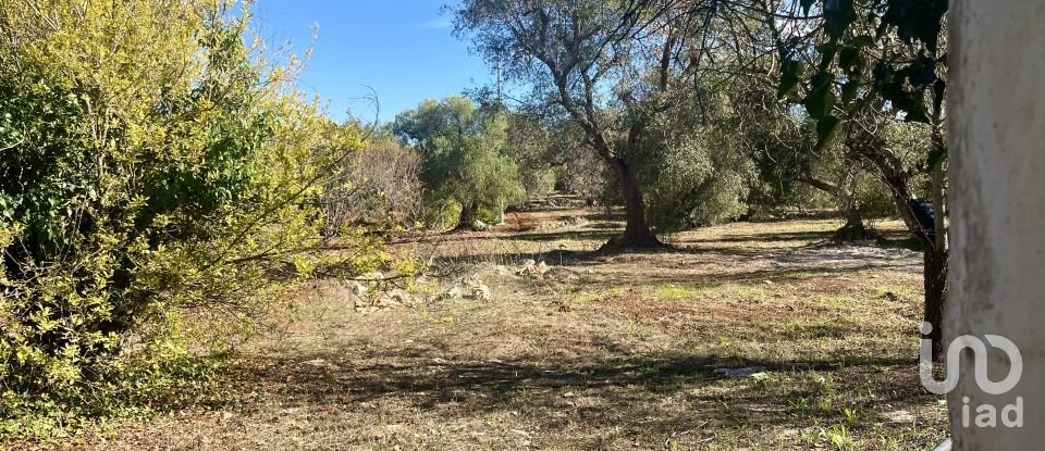 House 0 rooms of 50 m² in Ostuni (72017)