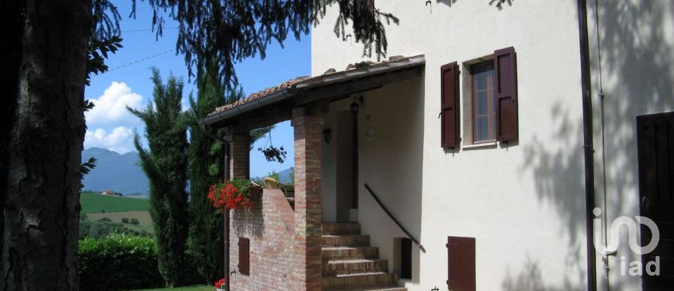 Attività locali di 1.000 m² in Matelica (62024)