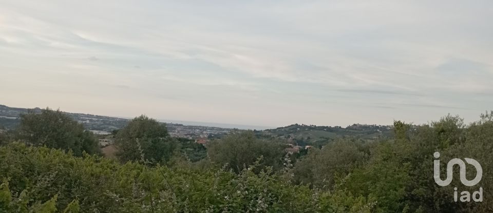 Terreno agricolo di 5.690 m² in Cappelle sul Tavo (65010)