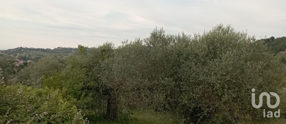 Terreno agricolo di 5.690 m² in Cappelle sul Tavo (65010)