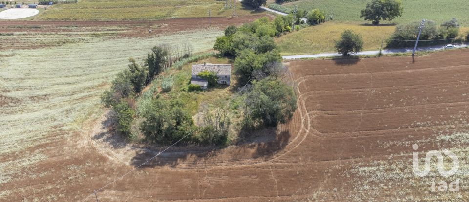 Casa indipendente 10 locali di 333 m² in Osimo (60027)