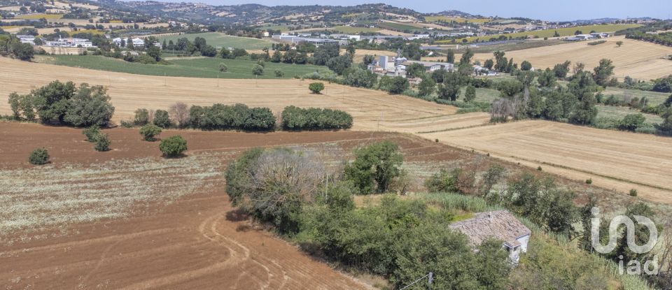 Town house 10 rooms of 333 m² in Osimo (60027)