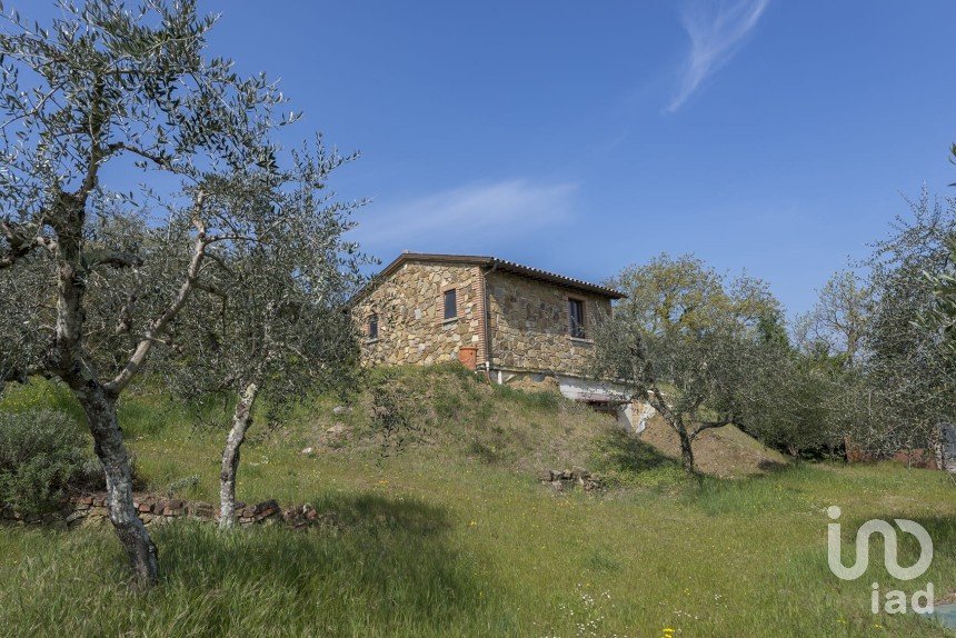 Terreno di 3.600 m² in Sinalunga (53048)