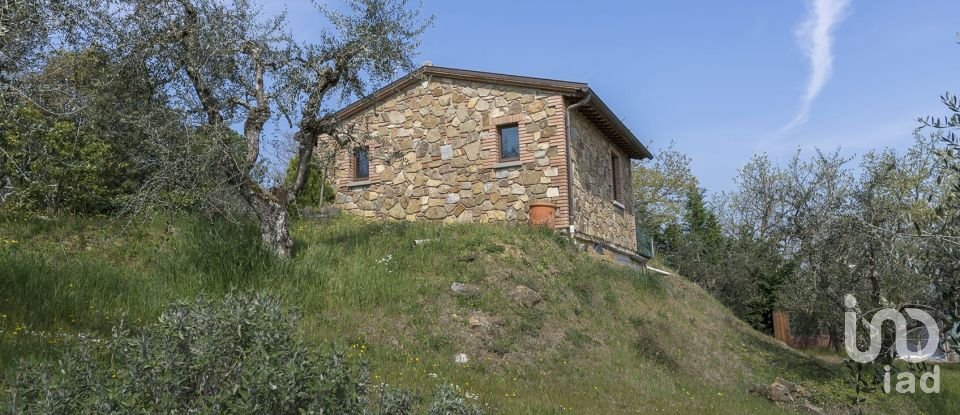 Terreno di 3.600 m² in Sinalunga (53048)