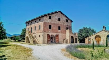 Attività locali di 570 m² in Treia (62010)