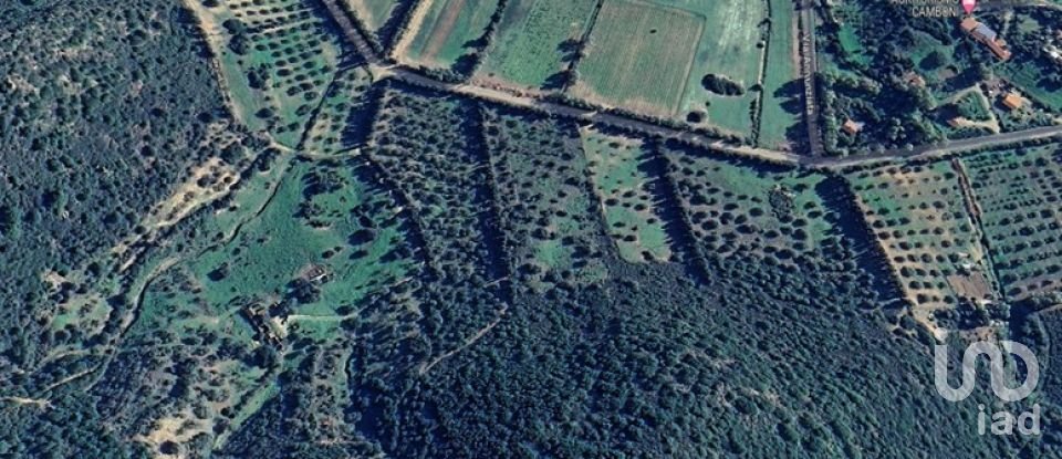 Land of 80,000 m² in Castiadas (09040)