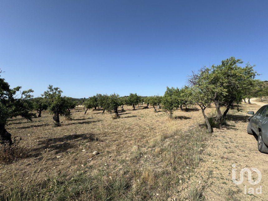 Land of 26,255 m² in Avola (96012)