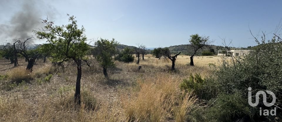 Land of 26,255 m² in Avola (96012)