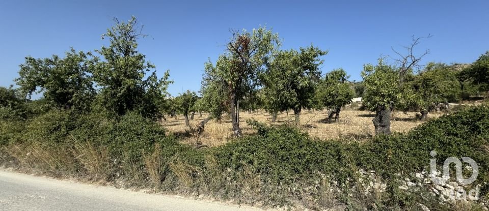 Land of 26,255 m² in Avola (96012)