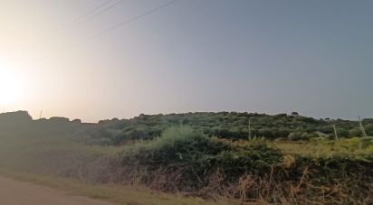 Terreno di 30.754 m² in Olbia (07026)