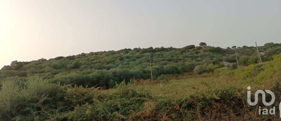 Land of 30,754 m² in Olbia (07026)