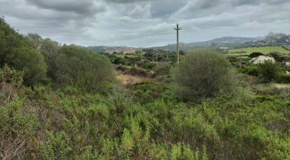 Land of 30,754 m² in Olbia (07026)