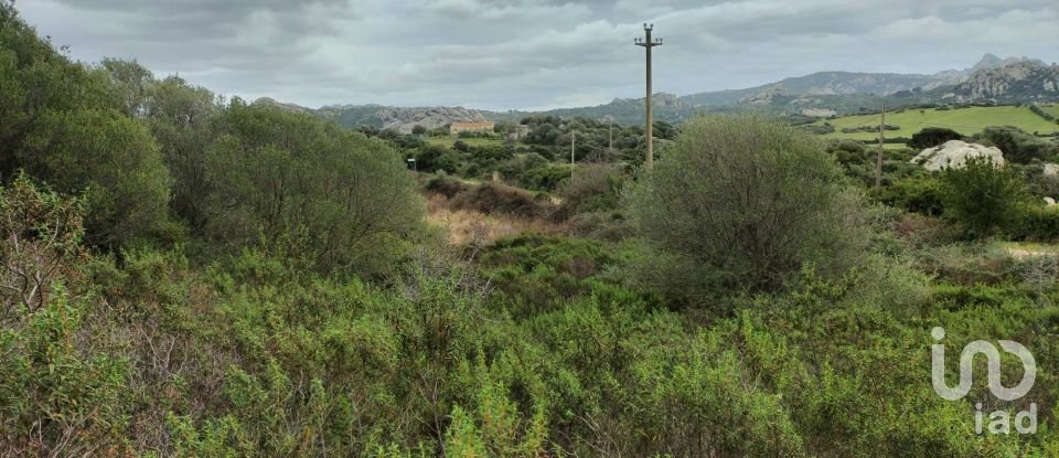 Land of 30,754 m² in Olbia (07026)