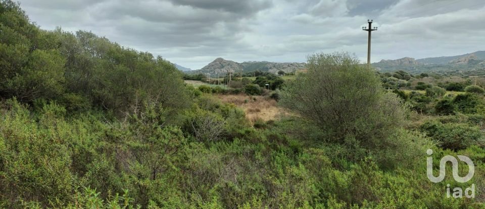 Terreno di 30.754 m² in Olbia (07026)