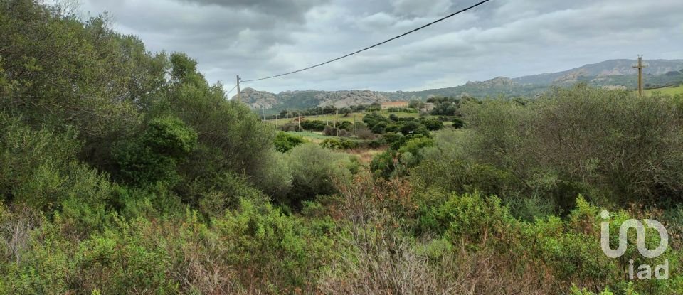 Land of 30,754 m² in Olbia (07026)