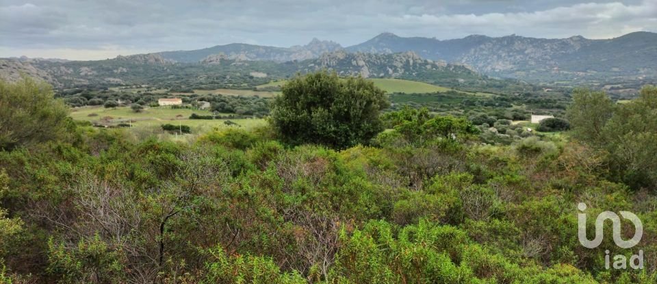 Land of 30,754 m² in Olbia (07026)