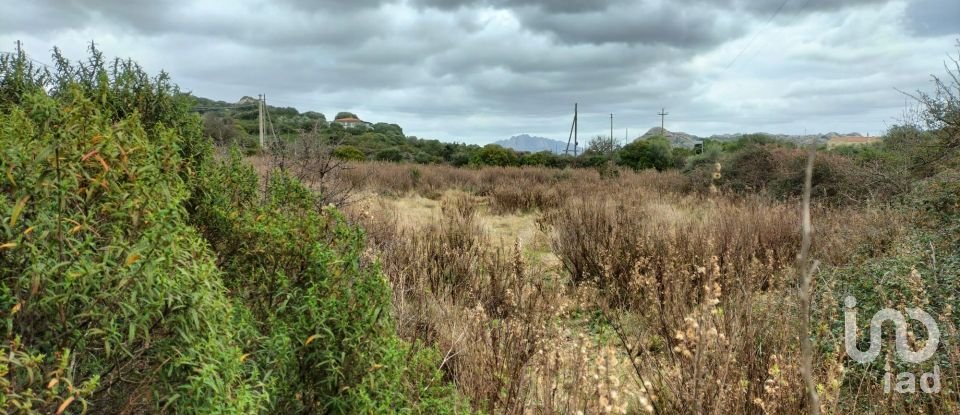 Land of 30,754 m² in Olbia (07026)