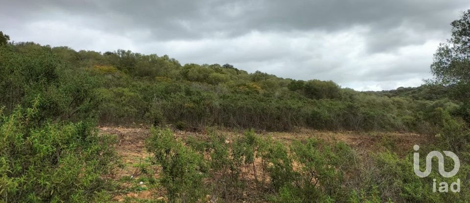 Terreno di 30.754 m² in Olbia (07026)