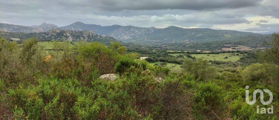 Terreno di 30.754 m² in Olbia (07026)