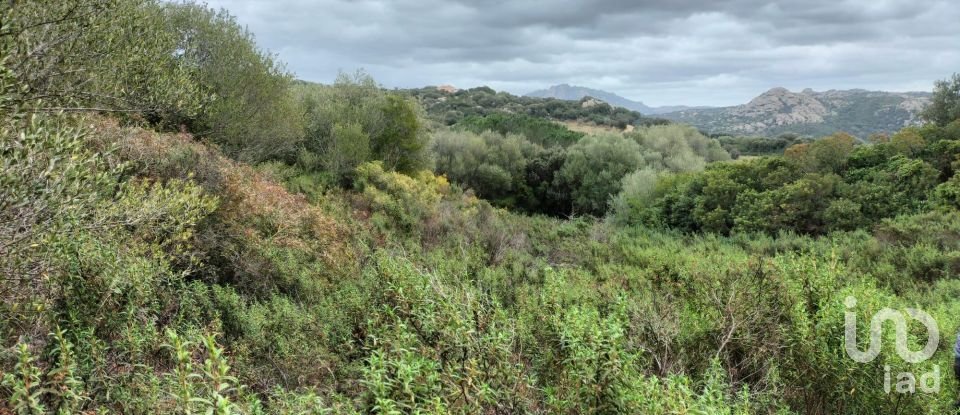 Land of 30,754 m² in Olbia (07026)