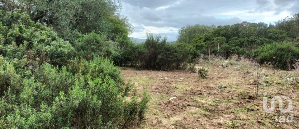 Land of 30,754 m² in Olbia (07026)