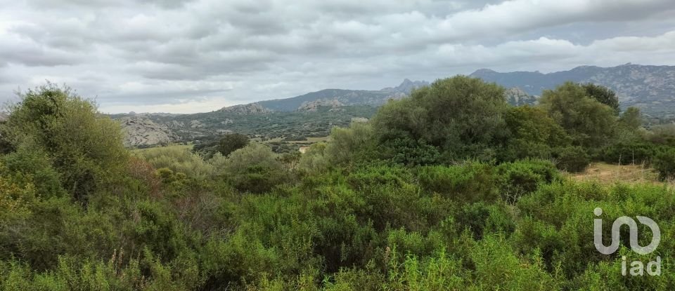 Land of 30,754 m² in Olbia (07026)