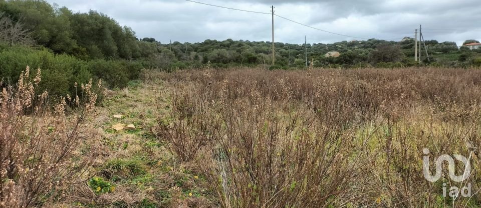 Land of 30,754 m² in Olbia (07026)