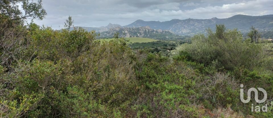 Land of 30,754 m² in Olbia (07026)