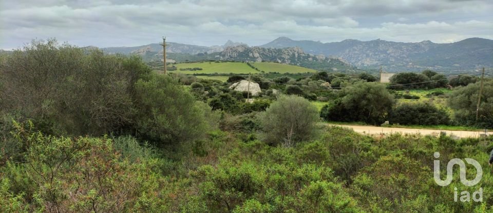 Terreno di 30.754 m² in Olbia (07026)