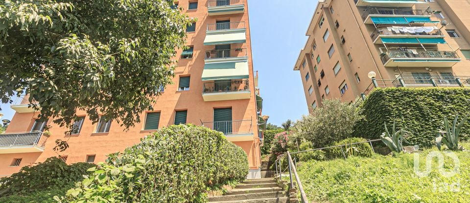 Appartamento 5 locali di 90 m² a Genova (16153)