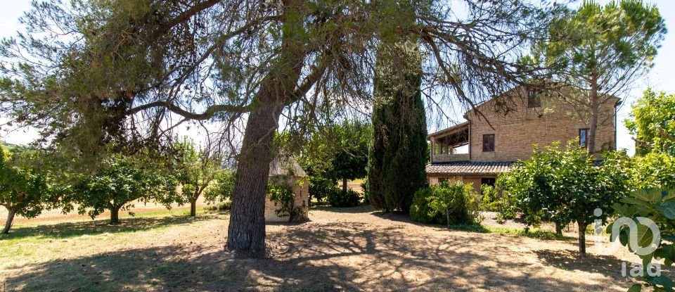 Rustico 0 locali di 420 m² in Monte San Pietrangeli (63816)