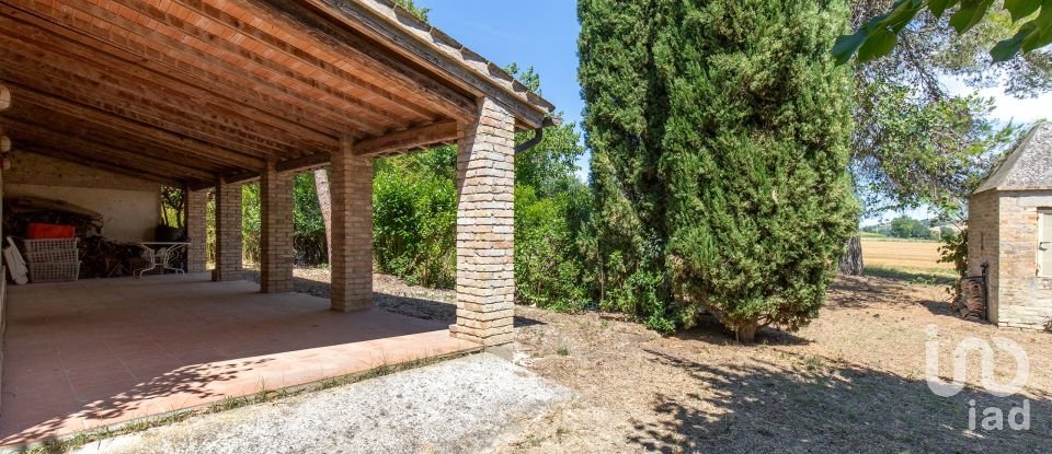 Rustico 0 locali di 420 m² in Monte San Pietrangeli (63816)