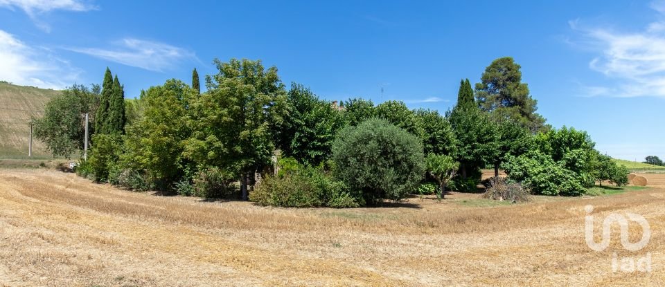 Rustico 0 locali di 420 m² in Monte San Pietrangeli (63816)