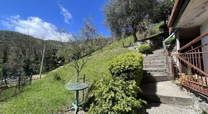 Town house 14 rooms of 267 m² in Lumarzo (16024)