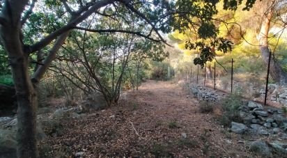 Land of 5,161 m² in Torretta (90040)