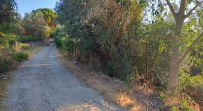 Land of 5,161 m² in Torretta (90040)