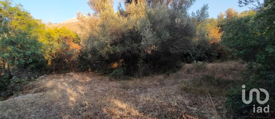 Land of 5,161 m² in Torretta (90040)