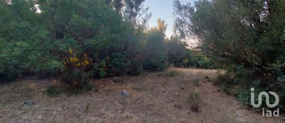 Land of 5,161 m² in Torretta (90040)