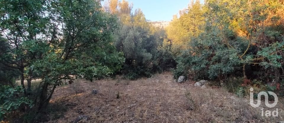 Land of 5,161 m² in Torretta (90040)